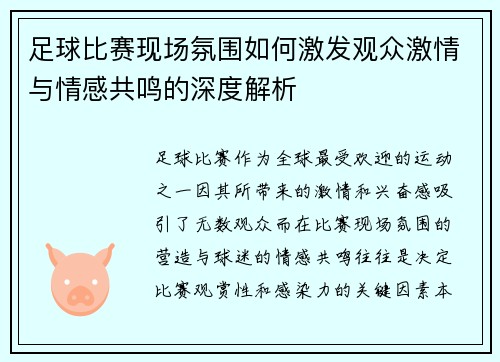 足球比赛现场氛围如何激发观众激情与情感共鸣的深度解析